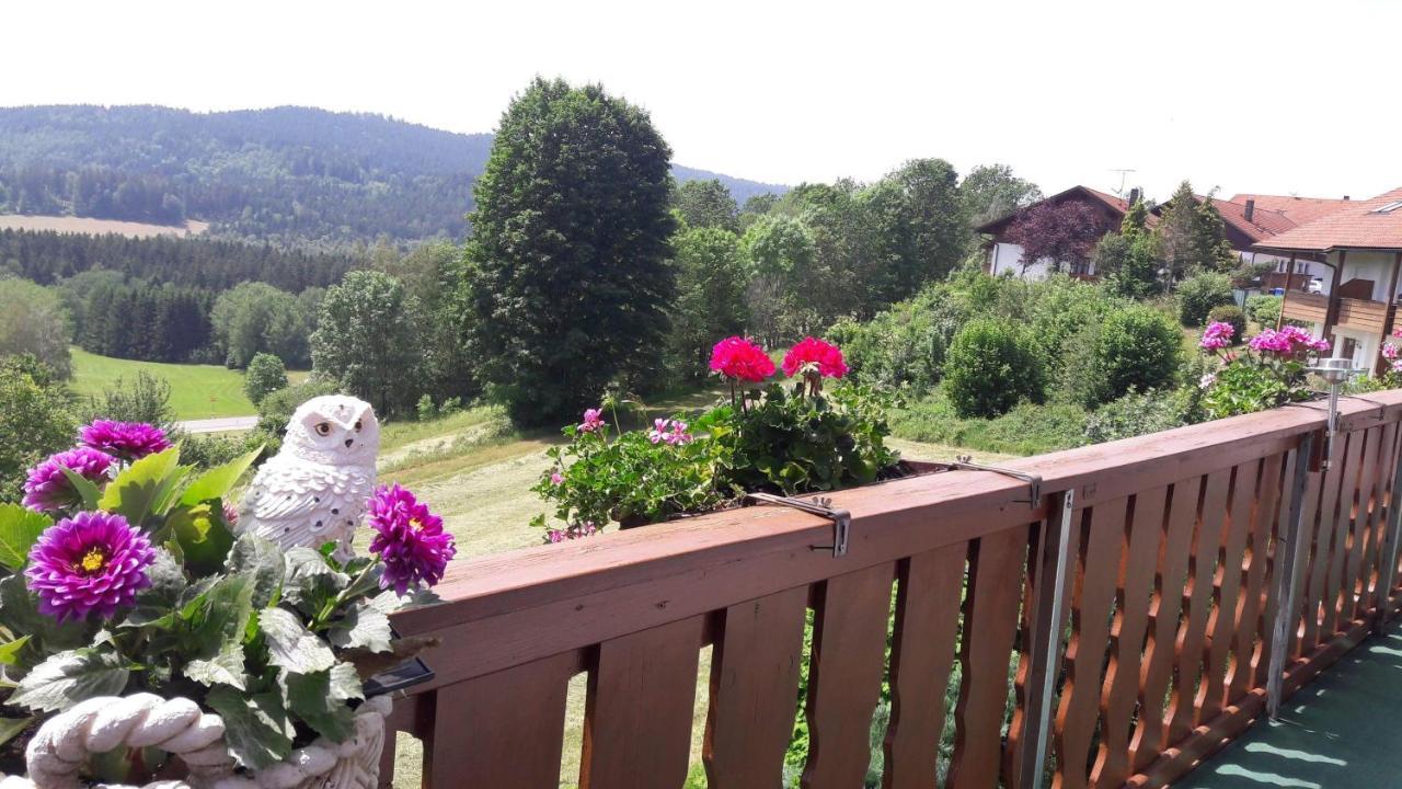 Ferienwohnung-Panoramablick-4 Bodenmais Bagian luar foto